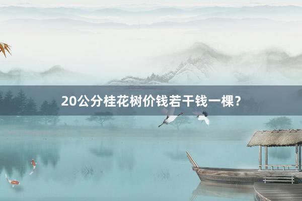 20公分桂花树价钱若干钱一棵?